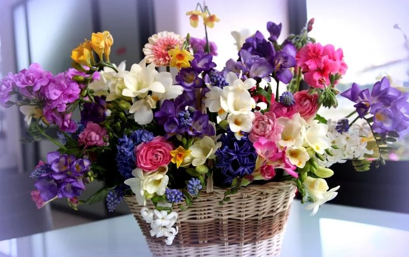 Акции в магазинах цветов ко Дню учителя